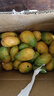 海南小臺甜心芒果臺農芒應季熱帶時(shí)令芒果水果整箱送禮 小臺芒凈重4.5-5斤單果80g+ 曬單實(shí)拍圖