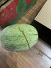 京鮮生 海南哈密瓜 西州蜜/西周蜜 1粒 單果2.5斤起 生鮮水果 曬單實(shí)拍圖