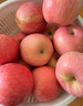 京鮮生 煙臺紅富士蘋(píng)果 凈重10斤 單果190g以上 禮盒裝 生鮮水果 曬單實(shí)拍圖