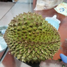 京喜加貓山王榴蓮新鮮當季正宗D197馬來(lái)西亞進(jìn)口 帶箱3.1-3.5斤（包四房）凈重（3.1斤） 曬單實(shí)拍圖