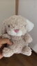 Jellycat米色甜美小兔小短腿公仔動(dòng)物毛絨玩偶娃娃送禮生日禮物 甜美小兔 One Size 曬單實(shí)拍圖