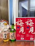 梅見(jiàn)原果輕熟青梅酒 750ml 單瓶裝 12度微醺果酒女士低度甜酒聚會(huì )聚餐 曬單實(shí)拍圖