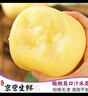 山姆大叔維納斯蘋(píng)果【多地次日達】山東黃金蘋(píng)果脆甜新鮮水果禮盒裝 【甜度升級】7A特級果 | 單果70-75mm 5斤裝【80%選擇-超值推薦】?jì)?斤* 曬單實(shí)拍圖