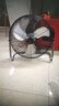 鉆石牌工業(yè)風(fēng)扇趴地扇臺式趴地電風(fēng)扇強力商用臺地扇大功率趴地風(fēng)扇工廠(chǎng)坐地扇大風(fēng)力EF-50L 曬單實(shí)拍圖