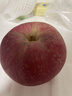 京鮮生 煙臺紅富士蘋(píng)果 凈重10斤 單果220g以上 禮盒裝 生鮮水果 曬單實(shí)拍圖