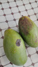 正宗越南玉芒大青芒青皮芒果爆甜特大果鮮果熱帶水果皮薄肉厚鮮甜 綠色 大青金煌芒300克+帶箱5斤（凈重4.7斤） 曬單實(shí)拍圖