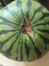 京鮮生 麒麟無(wú)籽西瓜 1粒裝 凈重5-7斤 生鮮水果 曬單實(shí)拍圖