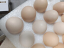 京鮮生【供港品質(zhì)】【每日鮮蛋】無(wú)抗谷物雞蛋30枚3.78斤當日產(chǎn)蛋當日發(fā) 曬單實(shí)拍圖