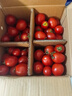 廣西露天圣女果櫻桃小番茄即食水果西紅柿新鮮蔬菜應季整箱批發(fā)價(jià) 帶箱5斤 4.5斤 凈重 曬單實(shí)拍圖