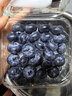 山姆大叔云南花香藍莓【JD/順豐/中通-多地次日達】新鮮藍莓脆甜水果禮盒 【店長(cháng)力薦-80%選】嚴選果｜單果15-18mm 125g*6盒裝【家庭分享-超值】?jì)?00g 曬單實(shí)拍圖