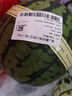 藤上熟吊秧小西瓜1粒1.5kg 曬單實(shí)拍圖