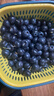 云南高山大藍莓500g 18mm 曬單實(shí)拍圖