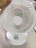 康佳（KONKA）空氣循環(huán)扇家用風(fēng)扇臺式電風(fēng)扇輕音節能渦輪對流換氣扇搖頭電扇交流定頻小風(fēng)扇空調伴侶KF-XH2012S 曬單實(shí)拍圖