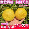 湖南懷化黔陽(yáng)黃金貢柚春香桔柚新鮮象山青甜雪峰小柚子 帶箱10斤凈重9斤(單果80-85mm) 曬單實(shí)拍圖
