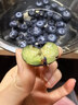 山姆大叔云南花香藍莓【JD/順豐/中通-多地次日達】新鮮藍莓脆甜水果禮盒 【店長(cháng)力薦-80%選】嚴選果｜單果15-18mm 125g*6盒裝【家庭分享-超值】?jì)?00g 曬單實(shí)拍圖