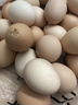 海佑農家鮮雞蛋柴雞蛋笨雞蛋五谷喂養單枚40g-50g 土雞蛋30枚 曬單實(shí)拍圖