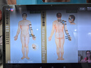 中研太和人體針灸經(jīng)絡(luò )穴位模型 數字定位女模型 可扎針練習 中醫教學(xué)用品 曬單實(shí)拍圖