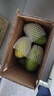 正宗越南玉芒大青芒青皮芒果爆甜特大果鮮果熱帶水果皮薄肉厚鮮甜 綠色 大青金煌芒300克+帶箱5斤（凈重4.7斤） 曬單實(shí)拍圖