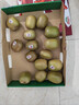 佳沛（zespri）新西蘭 新果季海運 巨無(wú)霸紅奇異果 15粒單果146-175g 獼猴桃 曬單實(shí)拍圖