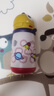 babycare兒童水杯6個(gè)月以上寶寶霸王龍不銹鋼保溫杯上學(xué)450ml-新舊款混發(fā) 曬單實(shí)拍圖