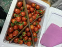 廣西新鮮紅圣女果小番茄蔬菜沙拉水果超市買(mǎi)菜整箱快遞包郵 精選新鮮（單果8g+） 4.5斤 凈重 泡沫箱裝 曬單實(shí)拍圖