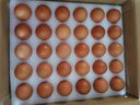 MEMBER'S MARK精選鮮雞蛋  1.5kg 1.5kg 曬單實(shí)拍圖