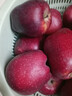 京地達甘肅天水花牛蘋(píng)果水果時(shí)令凈重8.5斤單果230g節日源頭直發(fā)包郵 曬單實(shí)拍圖
