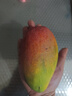 京鮮生海南貴妃芒 芒果凈重4.5斤裝單果150g起 源頭直發(fā) 曬單實(shí)拍圖