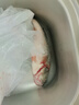 鮮活沖浪河鱸魚(yú)400-500g/條 曬單實(shí)拍圖
