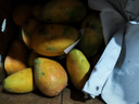 海南小臺甜心芒果臺農芒應季熱帶時(shí)令芒果水果整箱送禮 小臺芒凈重4.5-5斤單果80g+ 曬單實(shí)拍圖