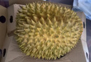 京地達泰國金枕頭榴蓮 5-6斤整果帶殼 液氮鎖鮮甄選水果源頭直發(fā)包郵 曬單實(shí)拍圖