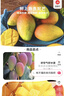 海南三亞樹(shù)上熟貴妃芒 500g(單果70g起) 曬單實(shí)拍圖