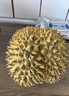 京鮮生泰國金枕榴蓮2-3斤 保3.5房 樹(shù)熟液氮冷凍新鮮生鮮水果禮盒 曬單實(shí)拍圖