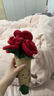 Jellycat趣味玫瑰花束手捧花毛絨玩偶娃娃新婚送禮生日禮物 趣味玫瑰花束 One Size 曬單實(shí)拍圖