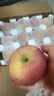 龍多鮮正宗新疆冰糖心蘋(píng)果富士蘋(píng)果新鮮水果當季整箱現摘丑蘋(píng)果 整箱5斤精選好果75-85MM 凈4.5斤 曬單實(shí)拍圖