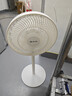 先鋒(SingFun)家用電風(fēng)扇落地扇米白風(fēng)扇節能宿舍小風(fēng)扇臺地扇空氣循環(huán)扇靜音大風(fēng)量風(fēng)扇DLD-D17 曬單實(shí)拍圖
