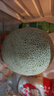 【產(chǎn)地直采】冰淇淋網(wǎng)紋瓜1粒1.25kg 曬單實(shí)拍圖