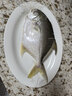 翔泰海南二去金鯧魚(yú)700g/2條去鰓去內臟免處理生鮮魚(yú)類(lèi) 海鮮水產(chǎn) 曬單實(shí)拍圖
