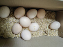 農家散養谷物土雞蛋50±5克/枚 30枚 曬單實(shí)拍圖