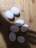 均鮮新鮮土鴿子蛋雜糧喂養農家特產(chǎn)白鴿蛋信鴿蛋孕婦寶寶年貨節禮盒裝 30枚610g左右精選鮮鴿蛋 曬單實(shí)拍圖
