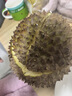 甜岸金枕榴蓮新鮮整個(gè)泰國進(jìn)口水果干包帶果殼送禮整箱【多地次日達】 3.5-4斤精選果【保4-5房】近90%選擇 曬單實(shí)拍圖