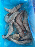 鮮京采 厄瓜多爾白蝦 凈重3斤/盒 特大號20-30規格   30-45只/盒 曬單實(shí)拍圖