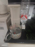 小質(zhì)便攜飲水機即熱飲水機家用小型桌面燒水壺臺式直飲旅行保溫杯電熱水壺沖奶泡奶神器YB01 曬單實(shí)拍圖