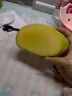 芒果金煌芒水仙玉芒果青皮大芒果甜心芒新鮮水果次日孕婦達送禮 凈重2斤裝 【一人食】 甄選特級果【單果250g+】 曬單實(shí)拍圖