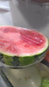 【無(wú)籽】美都無(wú)籽麒麟西瓜1粒 約4.6kg 曬單實(shí)拍圖