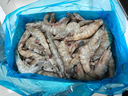 鮮京采 原裝進(jìn)口厄瓜多爾白蝦 凈重3.3斤 大號30-40規格 50-66只/盒 曬單實(shí)拍圖