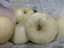 京鮮生山東奶油富士蘋(píng)果凈重5斤單果170g新鮮水果 源頭直發(fā)包郵 曬單實(shí)拍圖