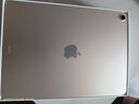 Apple/蘋(píng)果 iPad Air 11英寸 M4芯片 2026年新款 平板電腦(256G WLAN版)星光色 曬單實(shí)拍圖