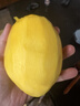 金煌芒新鮮進(jìn)口水果廣西當季熱帶大青皮芒果批發(fā)整箱送禮品物盒 5斤裝【很劃算】?jì)糁?.5斤 甄選特級果【單果250g+】 曬單實(shí)拍圖