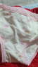 棉奇熊女童內褲棉質(zhì)a類(lèi)兒童三角褲全棉短褲中大童女小女孩不夾屁屁-S 曬單實(shí)拍圖